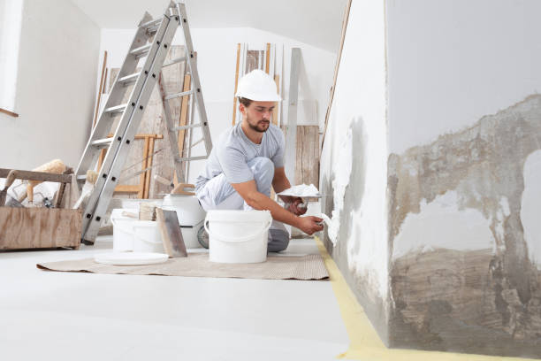 Best Commercial Painting  in Kewanee, IL